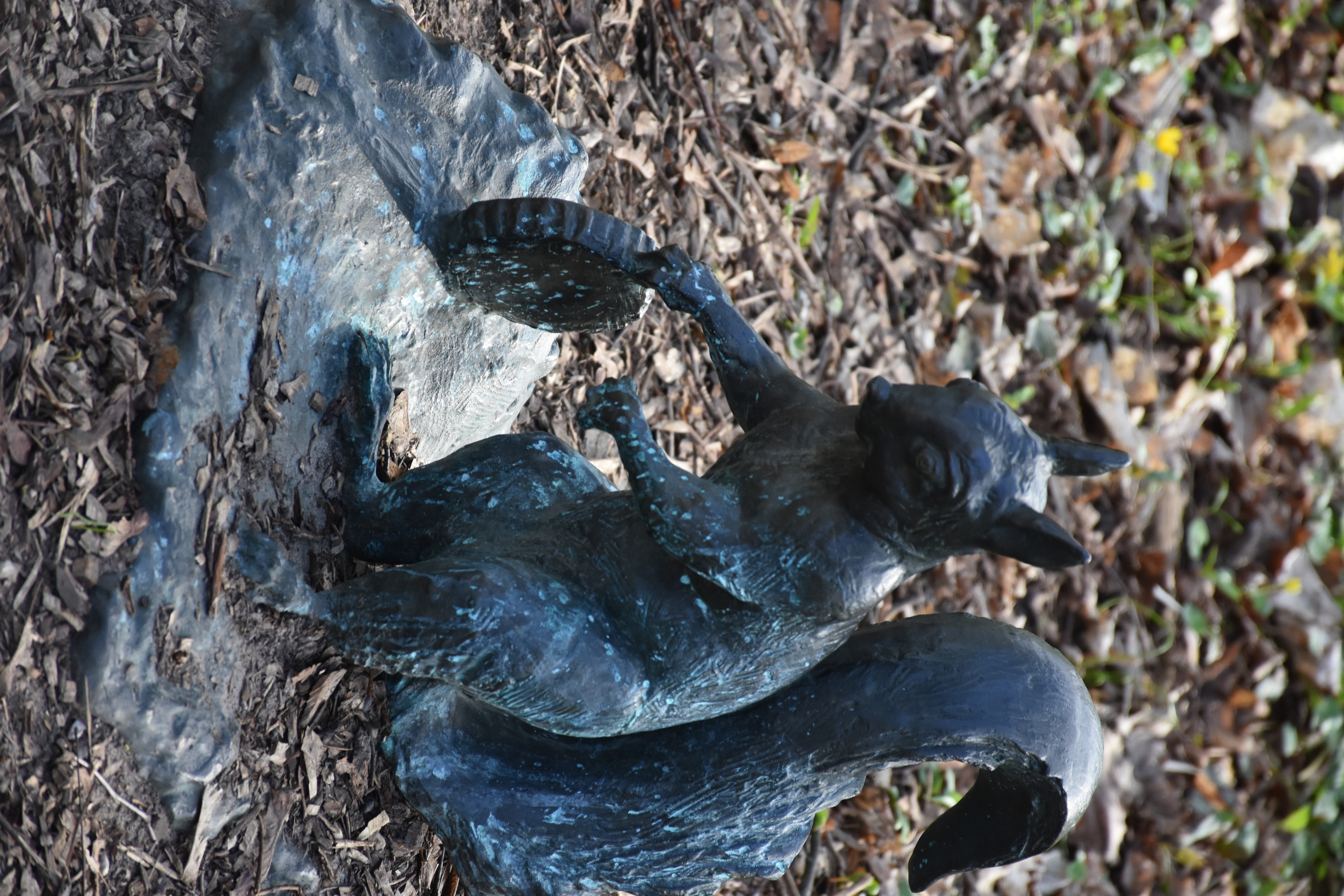 DSC_7880.JPG (10.80 MB)